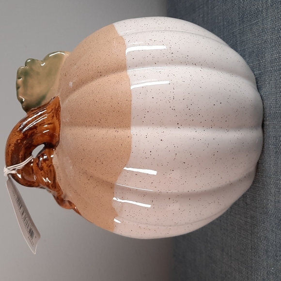 Ceramic Pumpkin Figure Tabletop Decor Fall Harvest Half Glazed White Na… - Picture 3 of 6